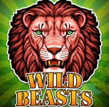 Δημοφιλές Slot Παιχνίδι 27